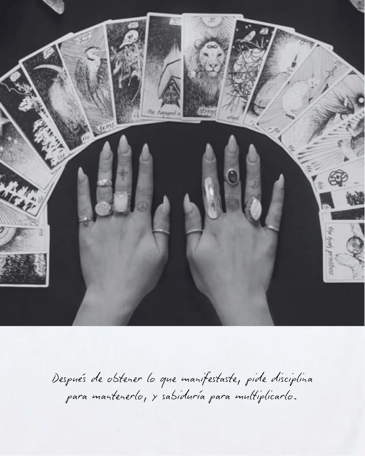 Manos con anillos sobre un abanico de cartas de tarot